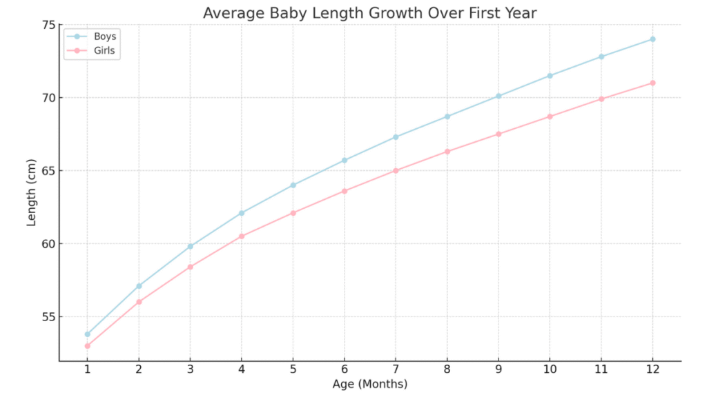 Line graph showing average baby length growth from 1 to 12 months, with separate curves for boys and girls // Healthier Baby Today