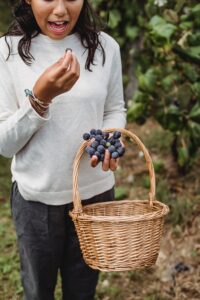 fruit stand near me - Healthier Baby Today