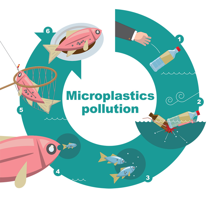 Microplastics, waste bottles, plastic bottle waste being shown from aerial view, how microplastic pollution works