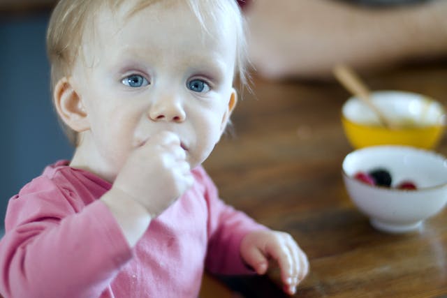 As we delve into organic baby foods, embrace the beauty of flexibility