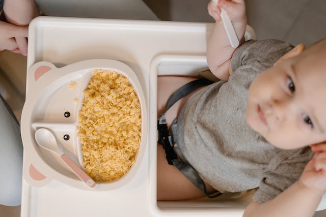 Organic Baby Foods Are They Truly Better