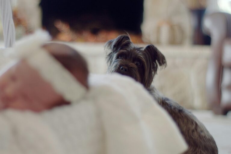 dog staring at new born, newborn wearing a white headband, fire place in the background // Healthier Me Today