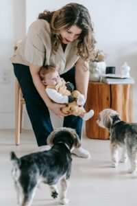 woman introducing pets and new baby, 2 dogs, wooden furniture // Healthier Me Today