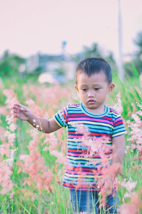 Boy Walking on Bush-covered Field Selective Focus Photo // Healthier Baby Today