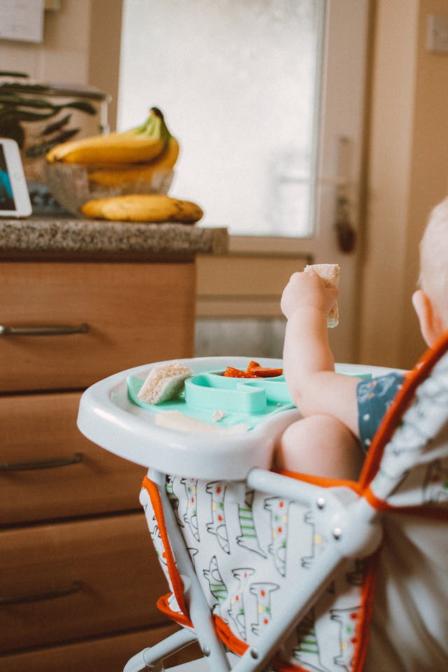 Back View Shot of a Baby Holding a Food while Sitting on a High Chair // Healthier Baby Today