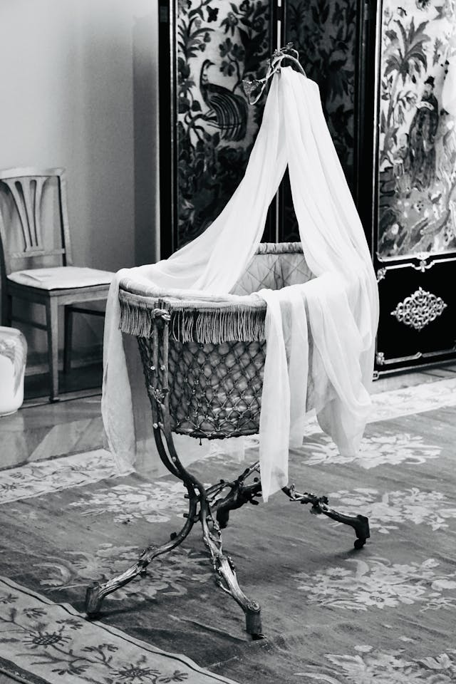 Monochrome Photo of Bassinet with Fabric // Healthier Baby Today