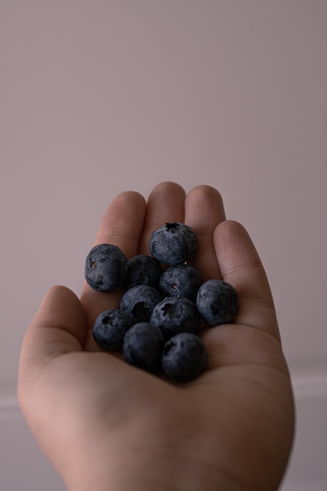 Crop person with ripe blueberries // Healthier Baby Today