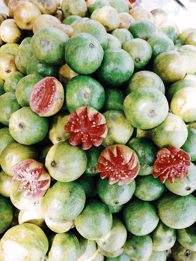 Pile of fresh guava fruits // Healthier Baby Today