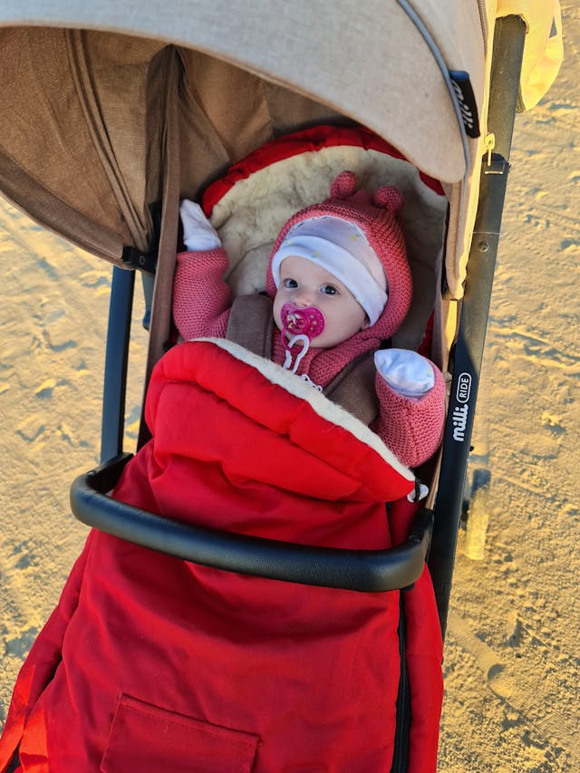 Portrait of a Cute Baby Sitting in a Stroller // Healthier Baby Today