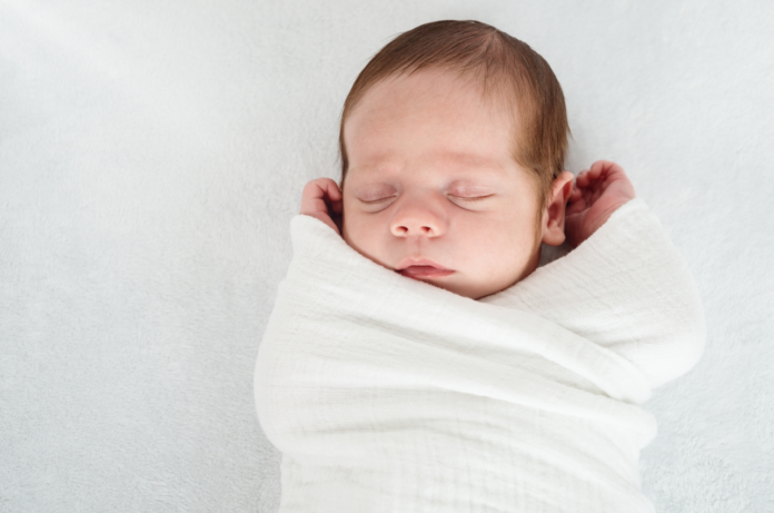 swaddles baby in a white blanket // Healthier Pets Today